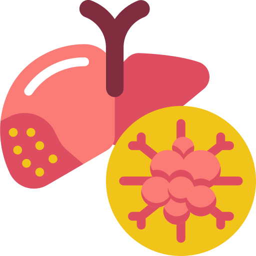 liver