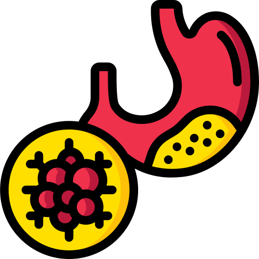 stomach