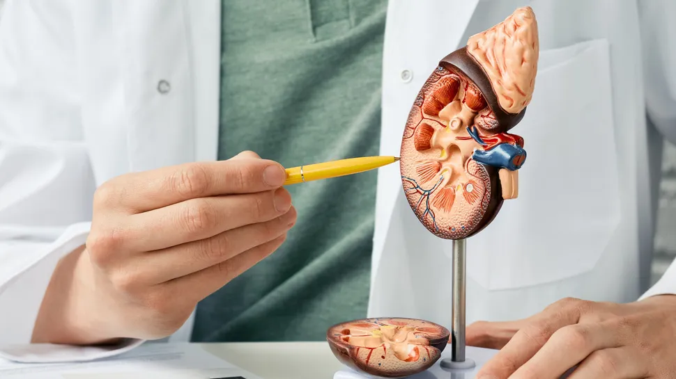 Kidney Cancer Treatment in Kolkata by Dr. Sandip Ganguly