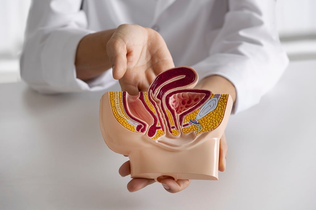 Gall bladder cancer causes