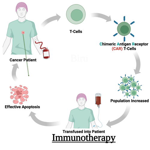 What is Immunotherapy?